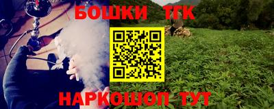 прущие грибы Лесосибирск