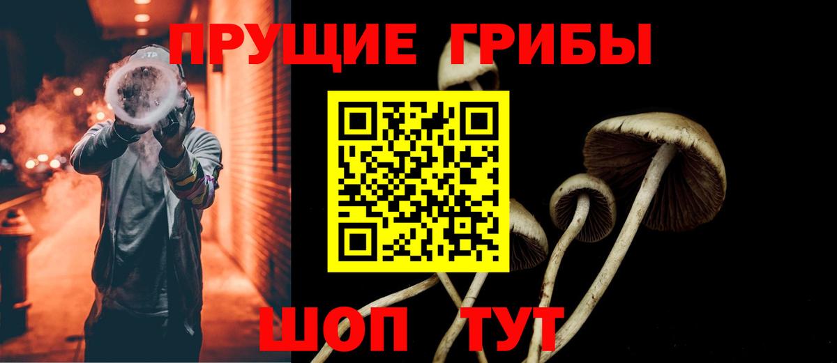 Псилоцибиновые грибы Cubensis Сухой Лог