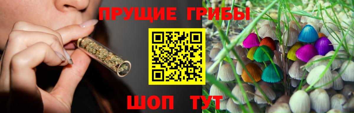 Сухой Лог  Псилоцибиновые грибы Psilocybe  Вход с VPN 
